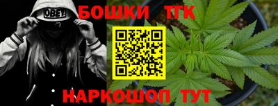индика Чебаркуль